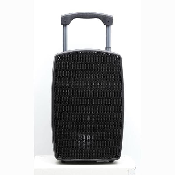 Gold Audio PA 2315 EE 15'' Taşınabilir Amfi - El+El