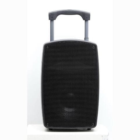 Gold Audio PA 2315 EE 15'' Taşınabilir Amfi - El+El