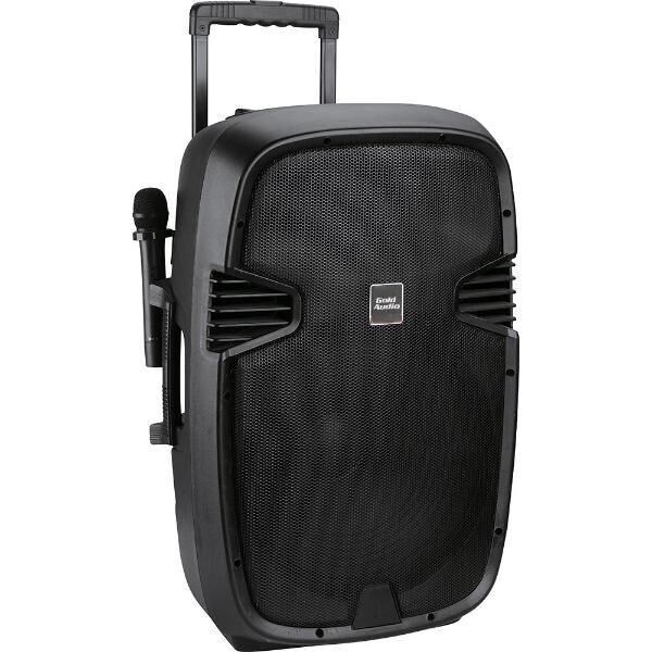 Gold Audio PA 8815 EE 15'' Taşınabilir Amfi - El+El